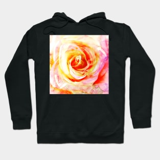 Pink and Yellow Rose Flower Hoodie